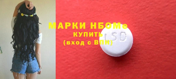 дживик Бородино