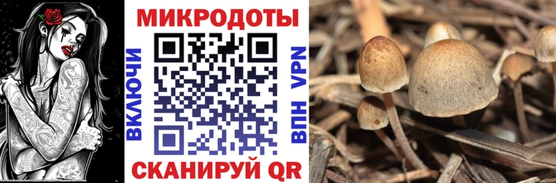 Купить закладки  Оленегорск  Галлюциногенные грибы мухоморы 